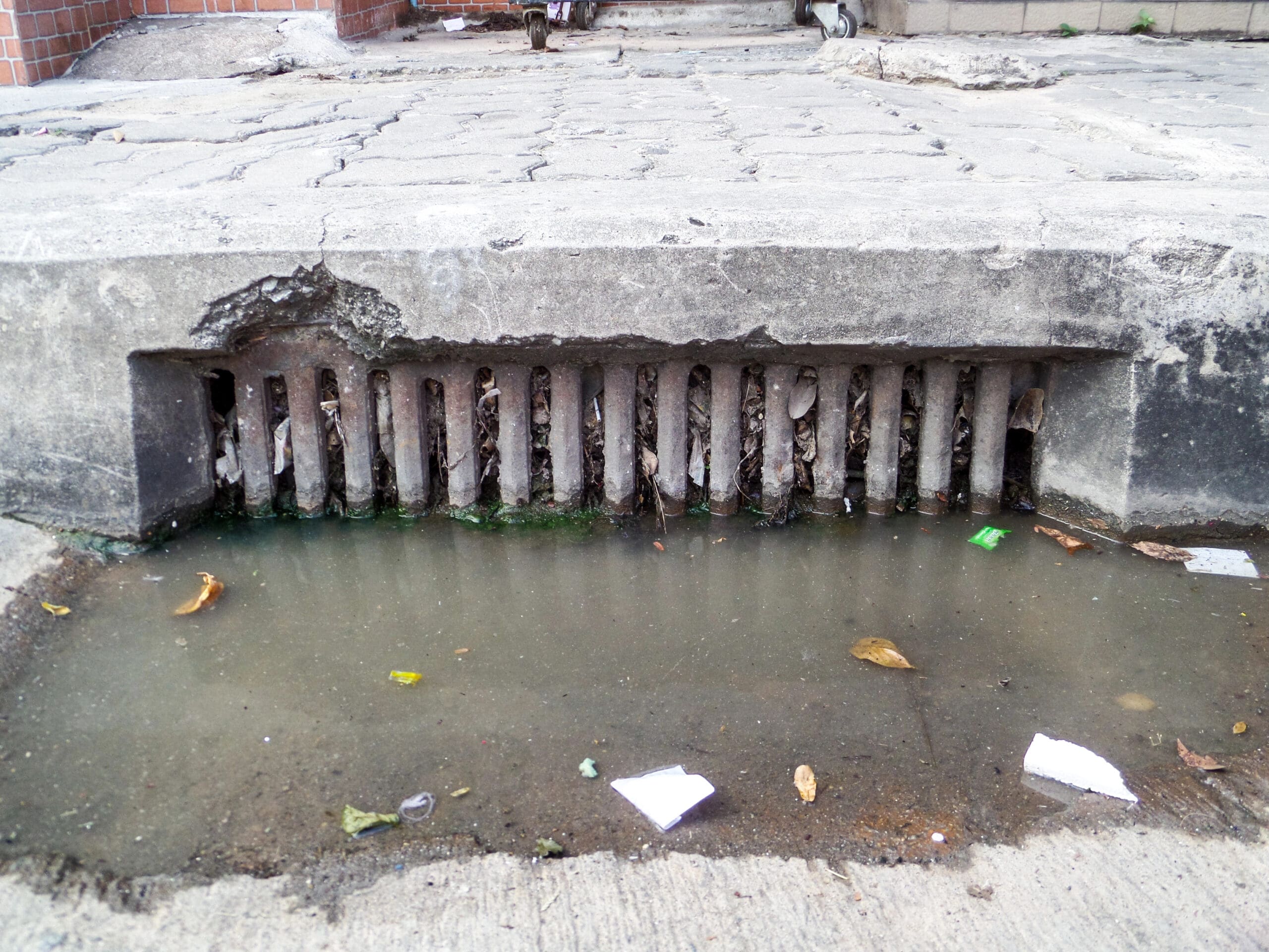 A street storm drain clogged with debris and leaves, with some water pooling in front of it on a concrete surface. The surrounding area shows signs of wear and erosion, with bits of litter and small leaves scattered around.