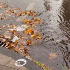 A street scene showing water puddles forming near a storm drain on a rainy day. Orange and yellow autumn leaves are scattered in the water and on the wet pavement, with ripples indicating raindrops hitting the surface. A white spray-painted circle is visible on the curb.