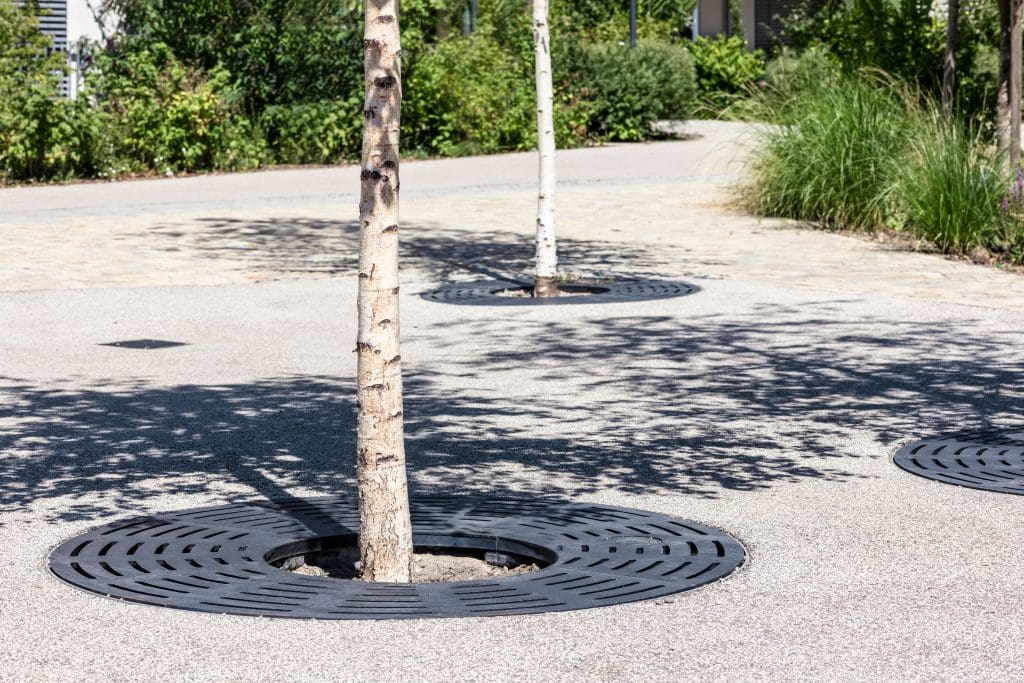 A paved pathway with three trees growing through circular metal tree grates. Shadows of the trees are cast on the ground. The background features shrubs, grass, and other greenery. The scene appears to be in a landscaped public or urban space.