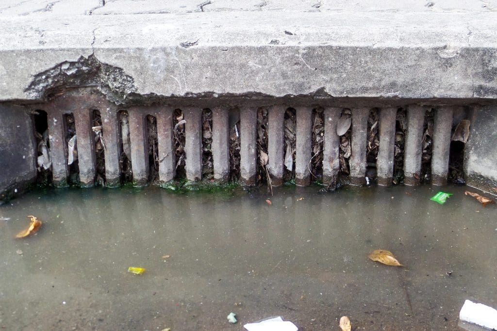 A close-up shot of a storm drain clogged with leaves, debris, and trash. Water is pooled up in front of the drain, unable to flow through due to the blockage. The concrete around the drain is cracked and weathered.